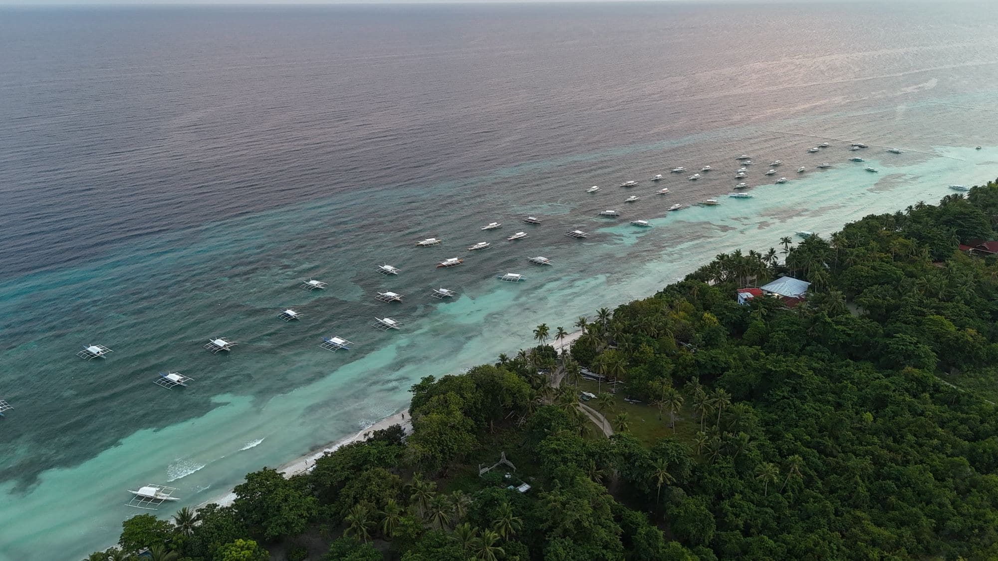 Aerial view of boats on turquoise water along a Bohol coastline